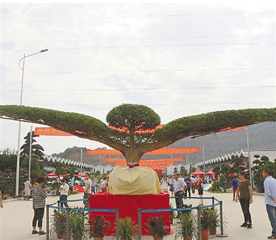 中栋国际花木城在杭州萧山瓜沥正式亮相