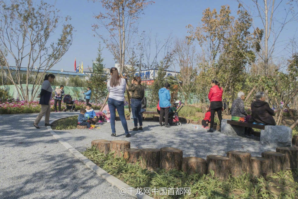 北京新街口再添城市森林公园 恢复宜居环境