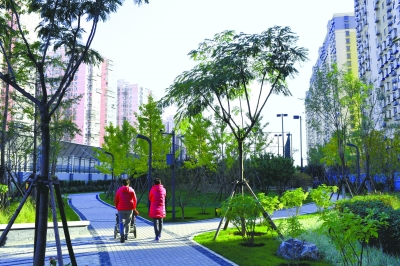 北京南二环边“雨水花园”今起开放