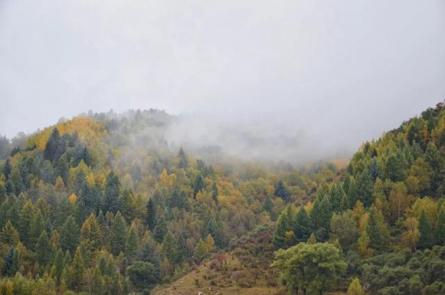 山西庞泉沟森林保护公园秋意浓浓