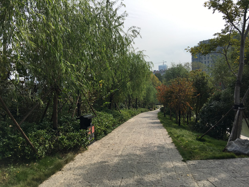 园冶杯专业奖：滁州内城河景观改造设计