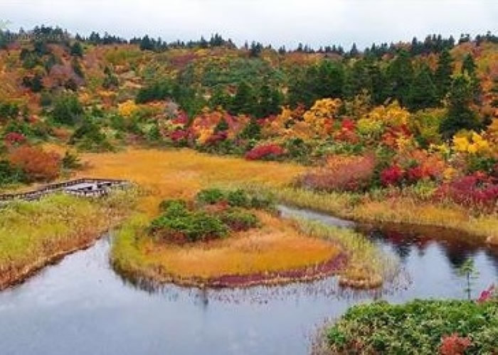 日本环境省计划利用无人机航拍国立公园美景