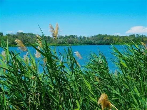 10个新增国家湿地公园（试点）