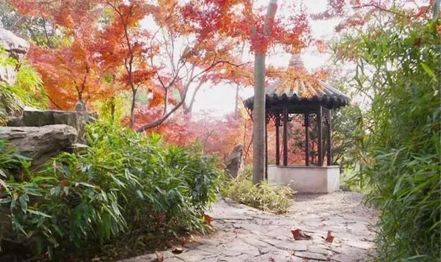 中国著名古典园林，简洁而富有山林之趣