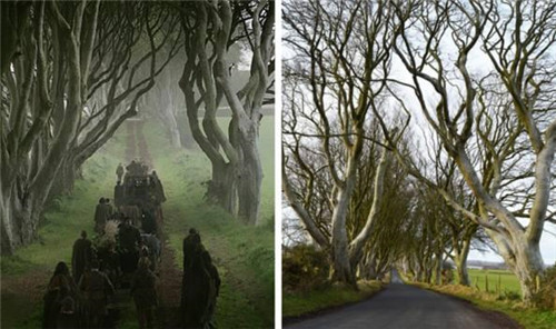 探秘爱尔兰诡异乡间小路黑暗树篱
