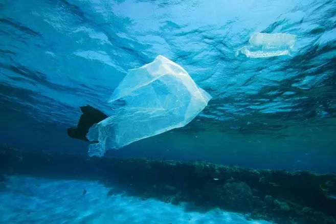 世界自然遗产的岛屿上堆积了3.8亿个垃圾废品
