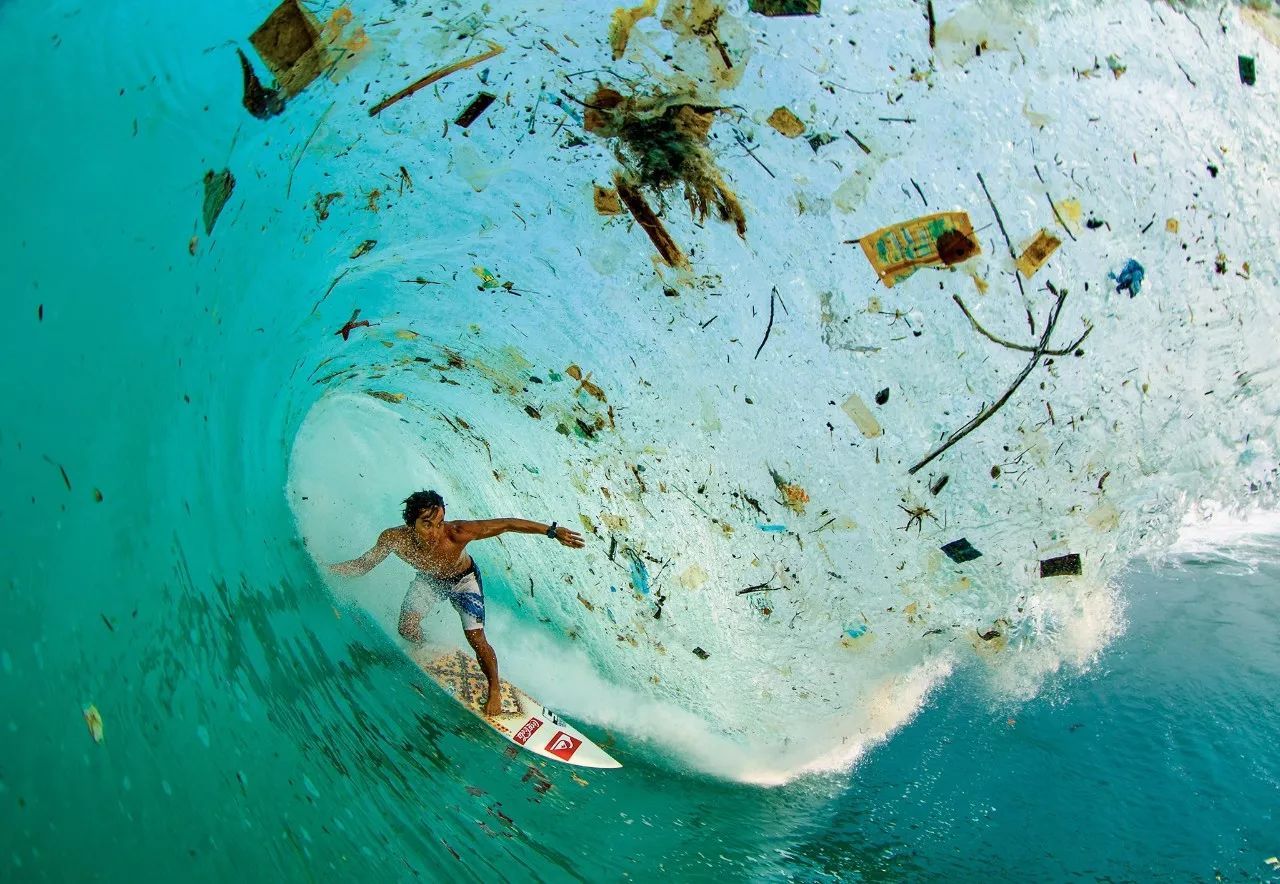 世界自然遗产的岛屿上堆积了3.8亿个垃圾废品