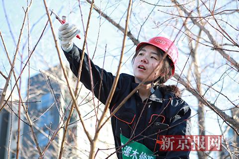 北京西城举办“金剪子”园林绿化技能大赛