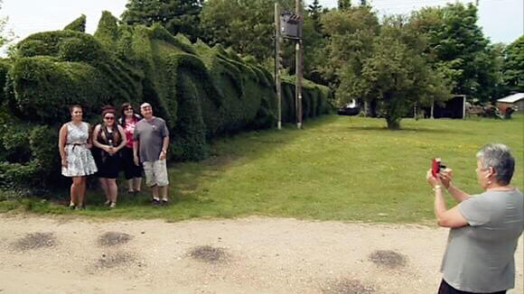 英国爷爷耗时13年用树篱剪出45米“巨龙”