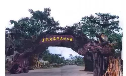 江西又有三个国家公园入选“中国森林氧吧”
