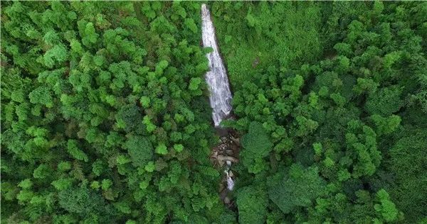 江西又有三个国家公园入选“中国森林氧吧”