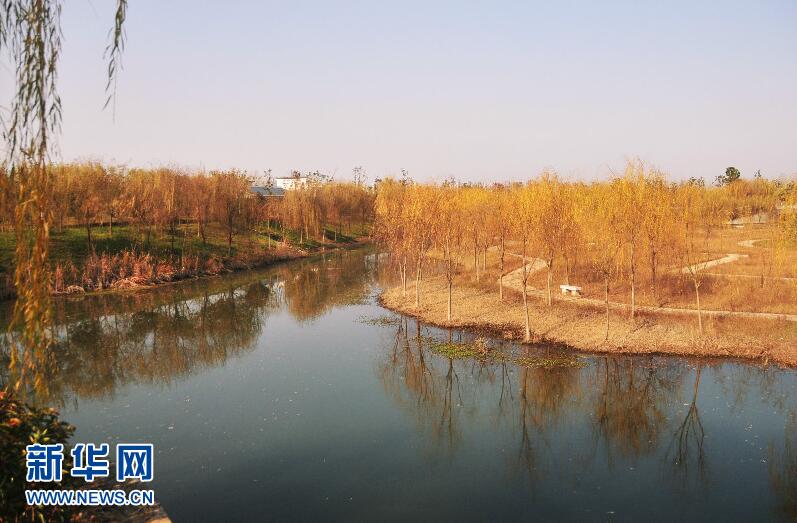 航拍谷城汉江国家湿地公园