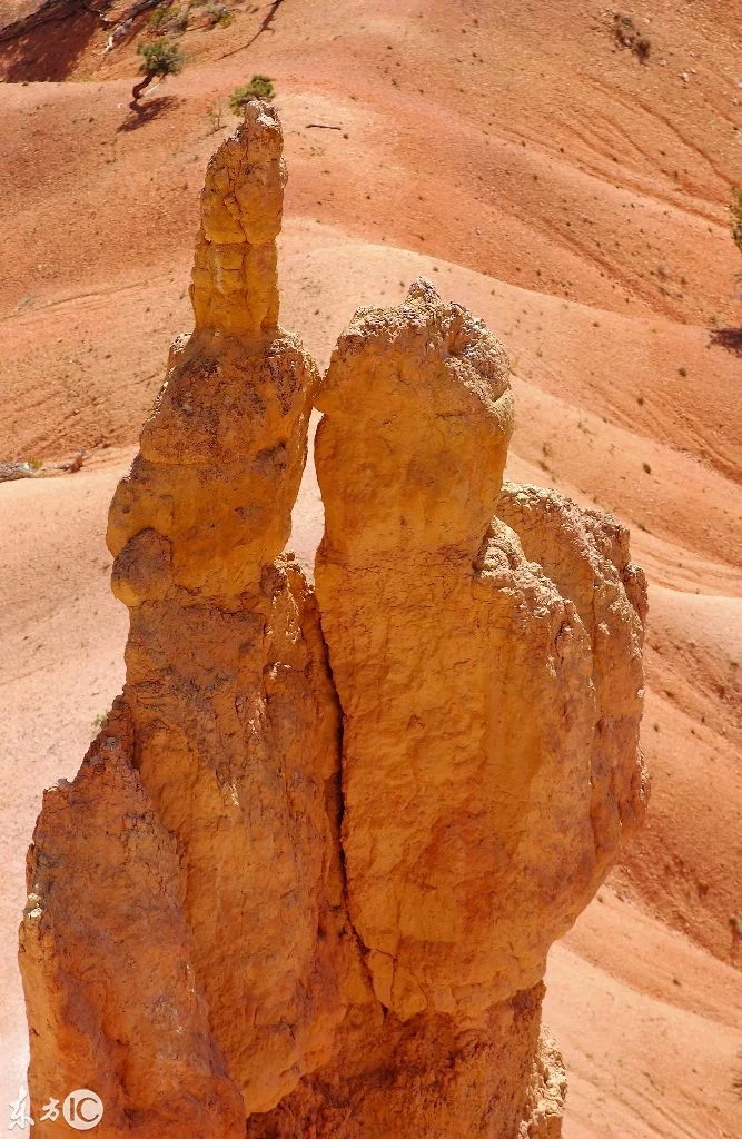 美国犹他州布莱斯峡谷国家公园的鲜艳岩石