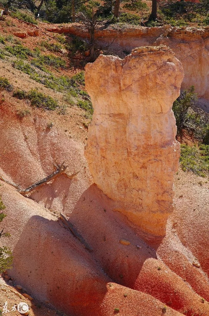 美国犹他州布莱斯峡谷国家公园的鲜艳岩石