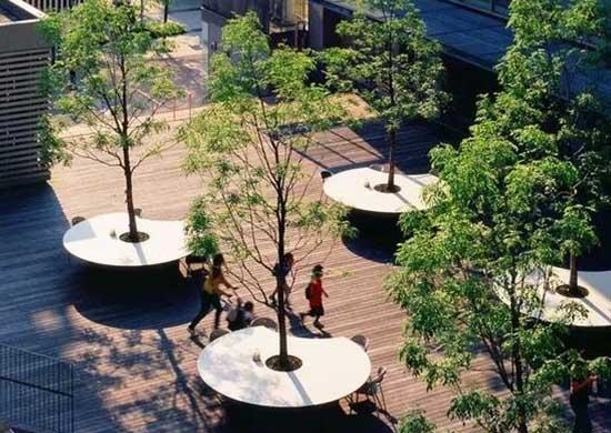 旅游景观之经典的树池设计