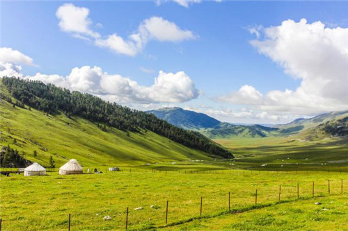 新疆的国家森林公园也美如仙境