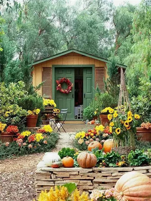 民宿设计：我想有个院子，繁花爬满篱笆