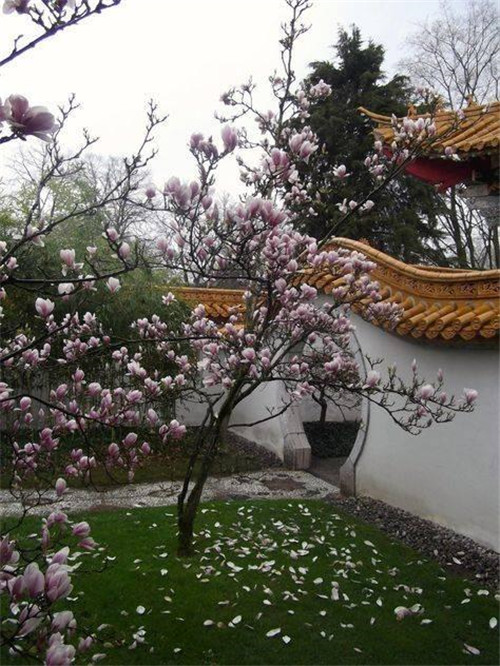 在中国古典园林中寻摸中华文化的审美意识