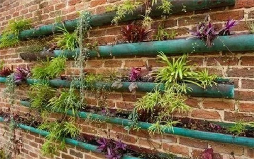 用雨水槽养成垂直的花园、菜园