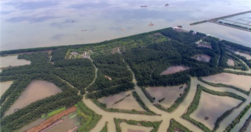 航拍广州最大的湿地公园——南沙湿地公园
