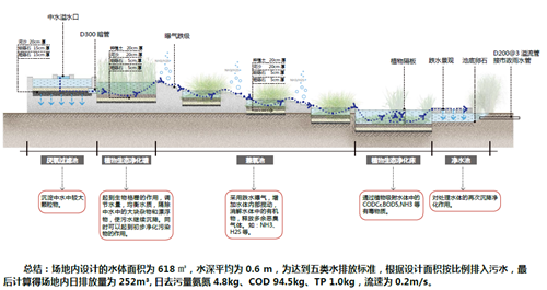 刘怡：城市双修中“见缝插针”式的生态修复