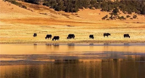 普达措国家公园：中国第一座国家公园