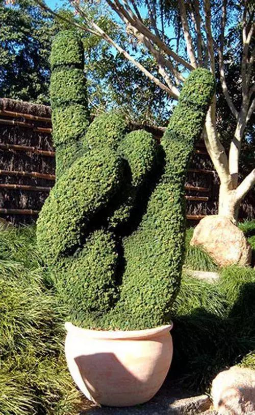 全球创意主题植物雕塑欣赏