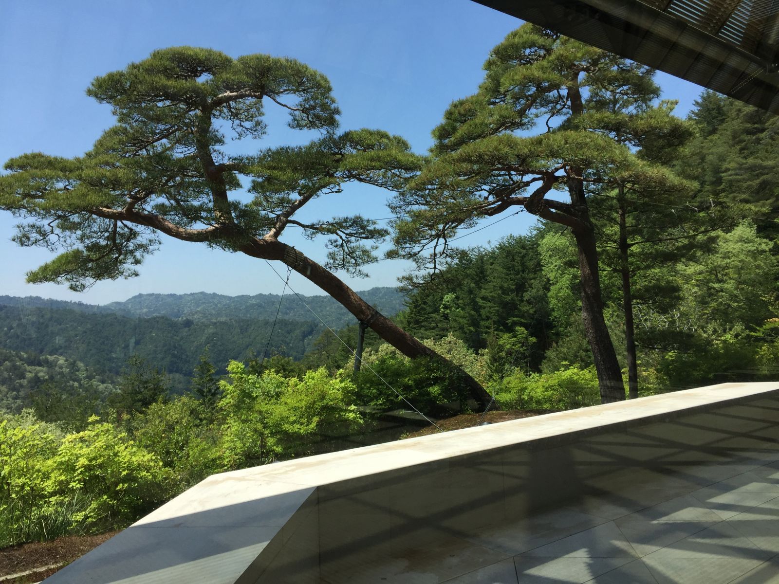 感受日本现代景观和知名建筑 对话禅僧大师枡野俊明