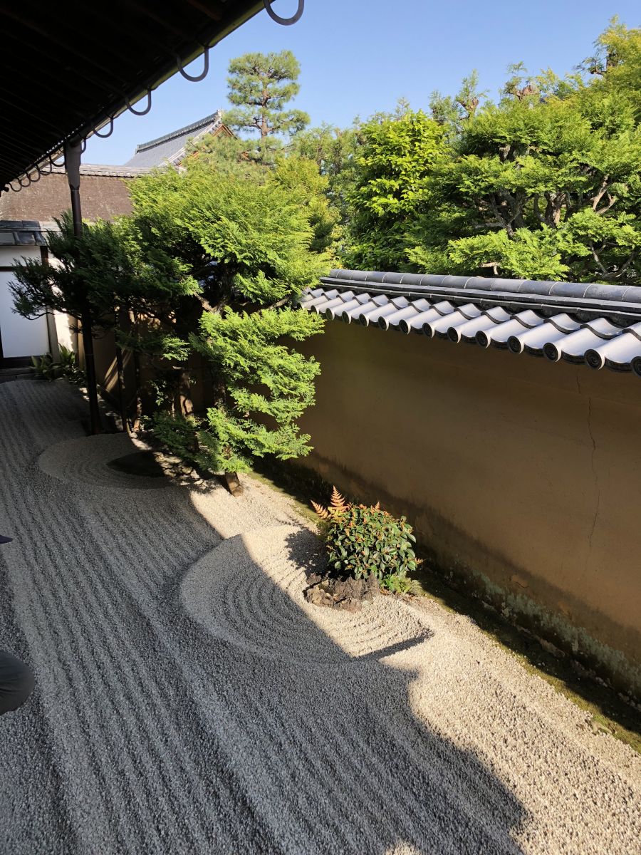 领略日本传统庭院 考察京都最美河流