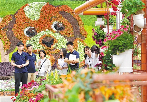 世园会倒计时一周年 北京花木春季花展开幕