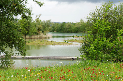 法国加龙河岸佩利西斯自然公园