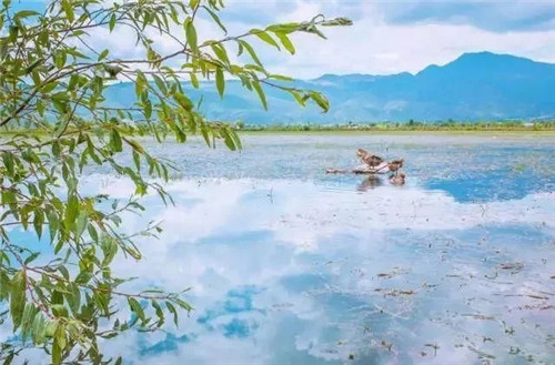 云南省第一个以湿地命名的保护区