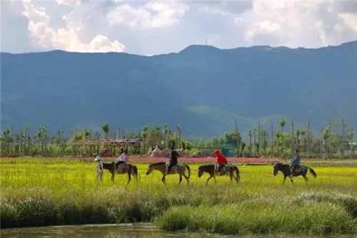 云南省第一个以湿地命名的保护区