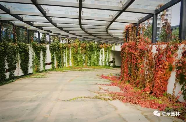 陕西意景园林室外垂直绿化的创新与实践，让大西安美出新高度
