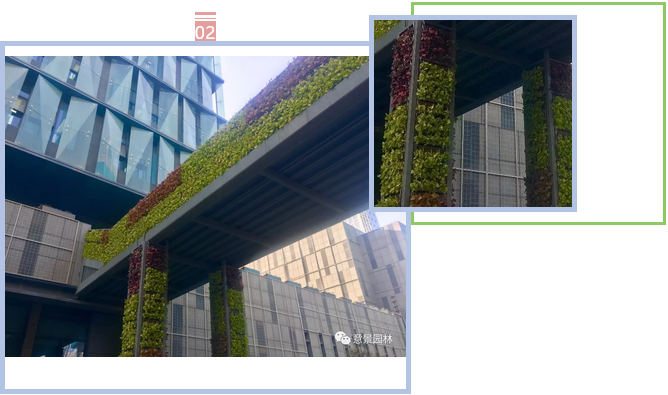 陕西意景园林室外垂直绿化的创新与实践，让大西安美出新高度