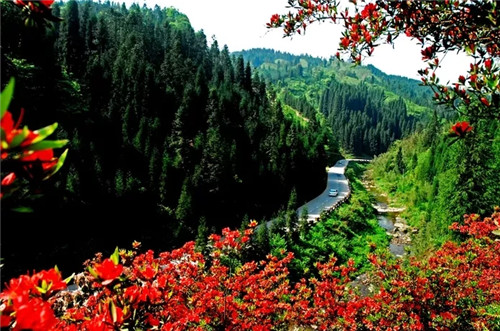 全国最大的森林公园有座世界最大的桌山