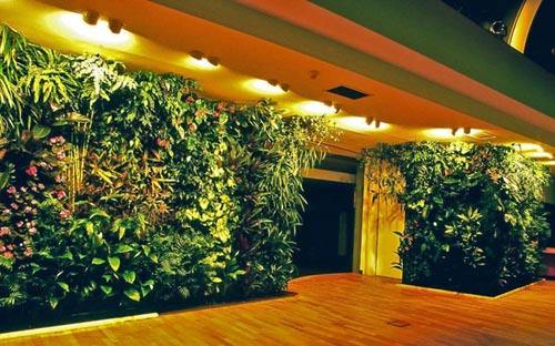 绿色植物墙在城市中的应用