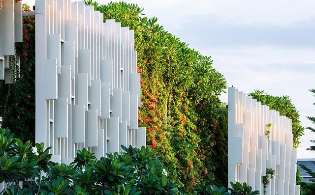 什么植物才适合用来做室外垂直绿化？