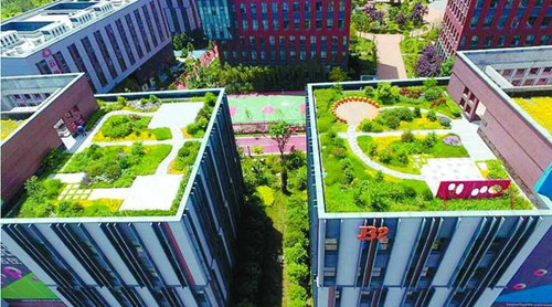 意景园林在沣西新城首创屋顶绿化垂直绿化引发关注