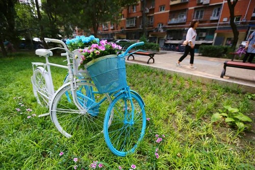废旧自行车巧变社区景观 