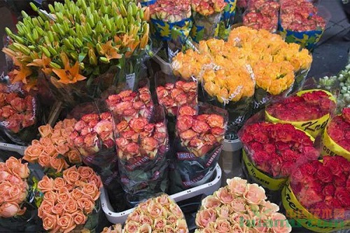 应对花卉产业消费升级，这里有一条高质量发展之路！