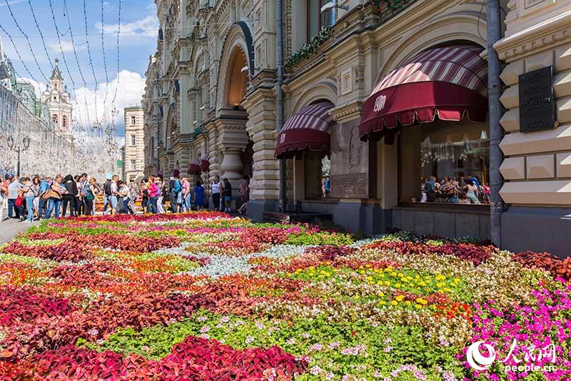 又是一年赏花时　莫斯科花卉节正在进行中