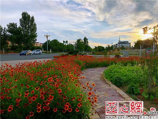 新疆：千里绿廊　百花争艳别样美