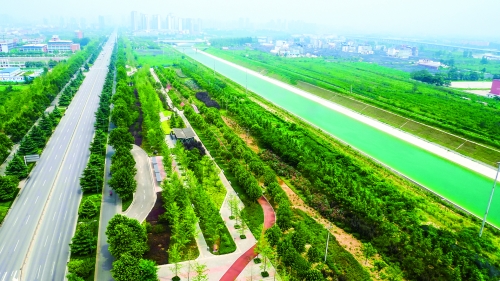 郑州要建立健全城市园林绿化制度