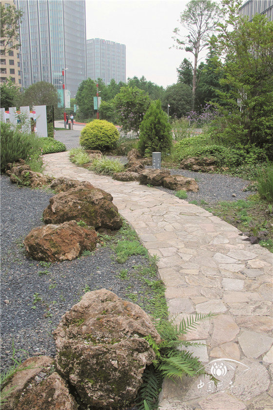 上海：演绎“迷你植物园”的地标绿地