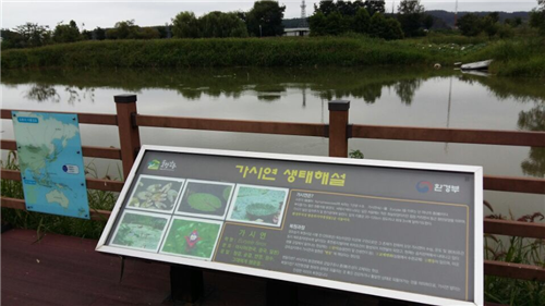 赵泰东：韩国江陵市镜浦湿地修复计划和现状