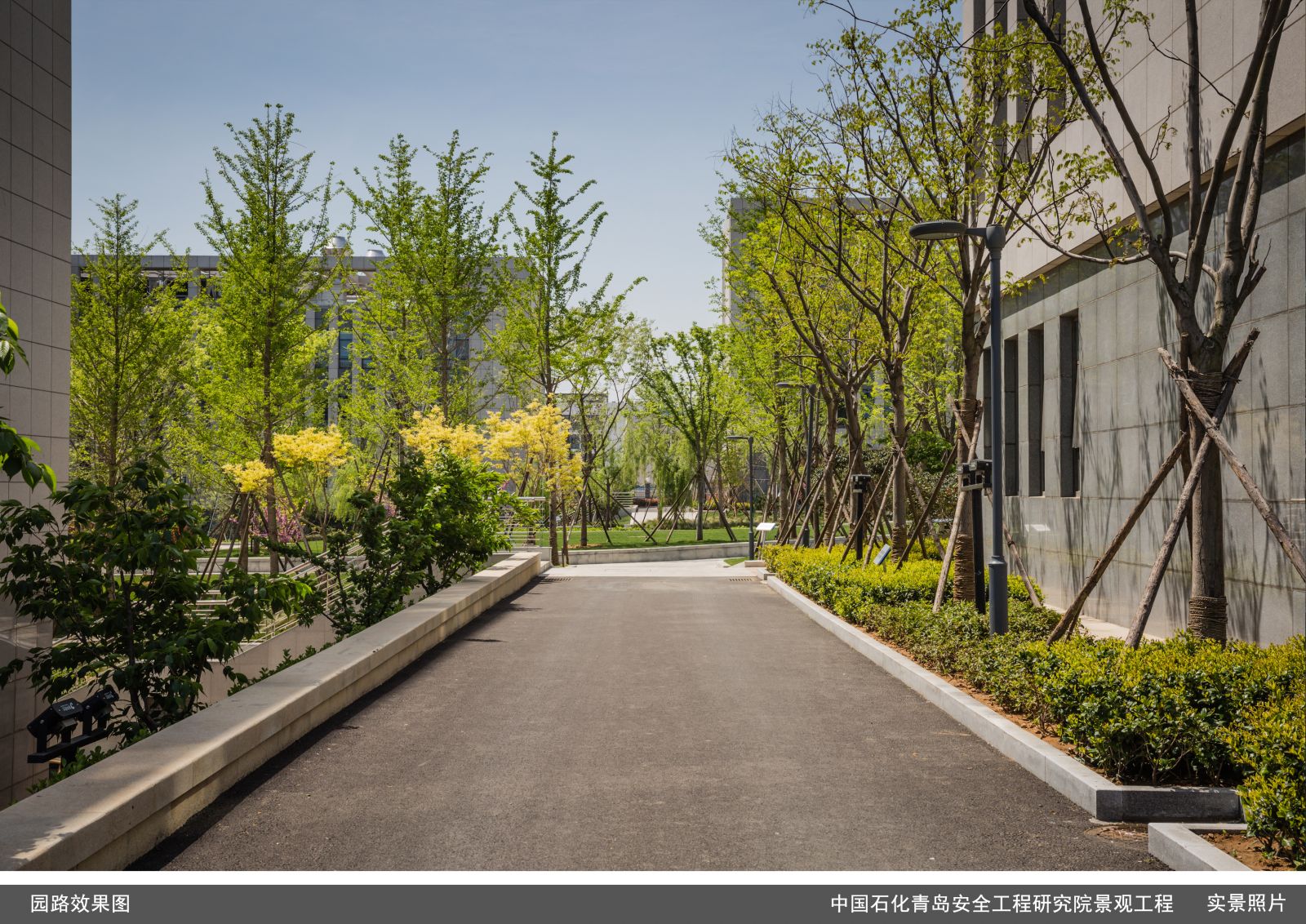 园冶杯专业奖：中国石化青岛安全工程研究院景观