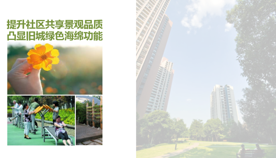 园冶杯专业奖：江苏镇江江二社区海绵城市改造工程景观设计 