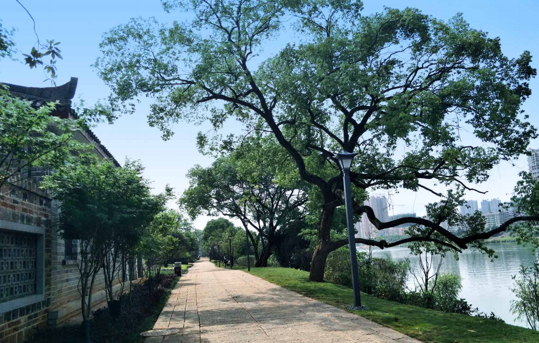 园冶杯专业奖：衡阳市东洲岛综合开发项目景观设计
