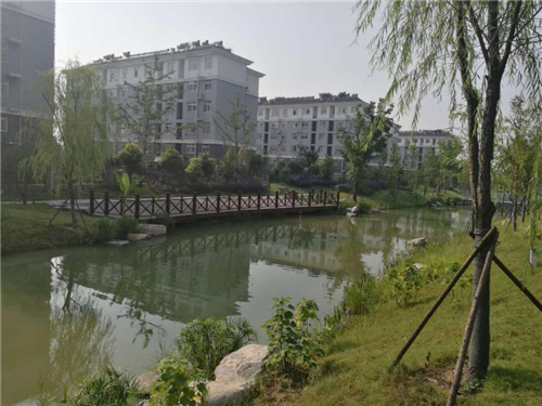 园冶杯专业奖：凤阳县新城区水系治理工程